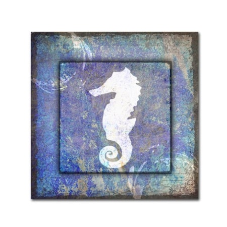 LightBoxJournal 'Beach House Sea Horse' Canvas Art,14x14